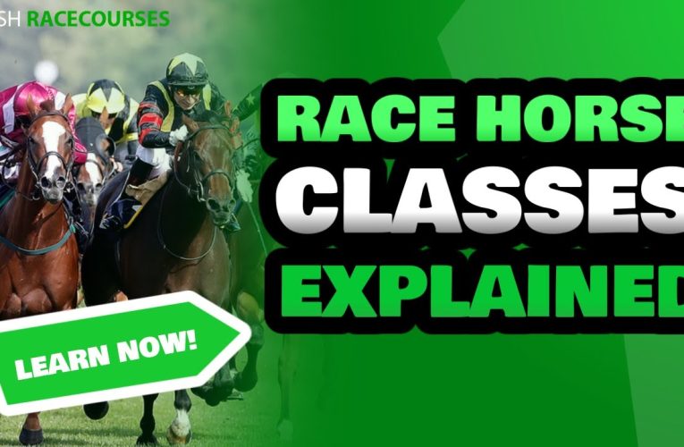 modern on the internet wagering